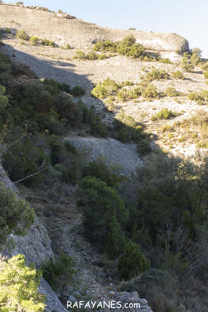 Ruta: Punta dels Pins Carrassers ( 1062 m.) (Els 100 Cims)