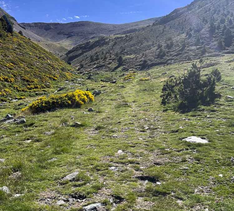 Ruta: Puigmal ( 2910 m.) (Els 100 Cims)