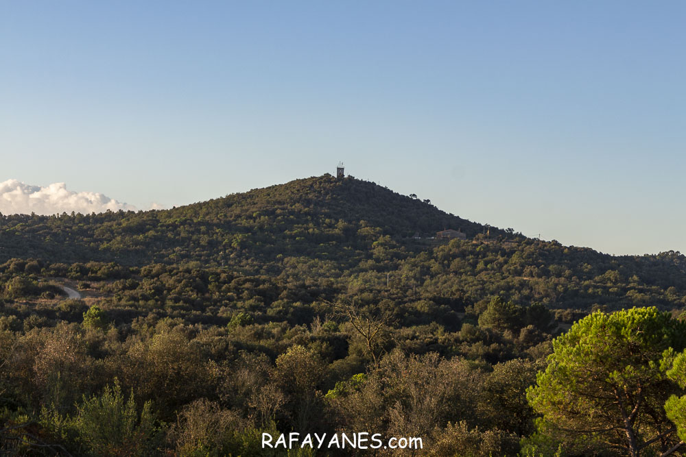 Ruta: Turó de Puigmarí (233 m.)(Els 100 Cims)