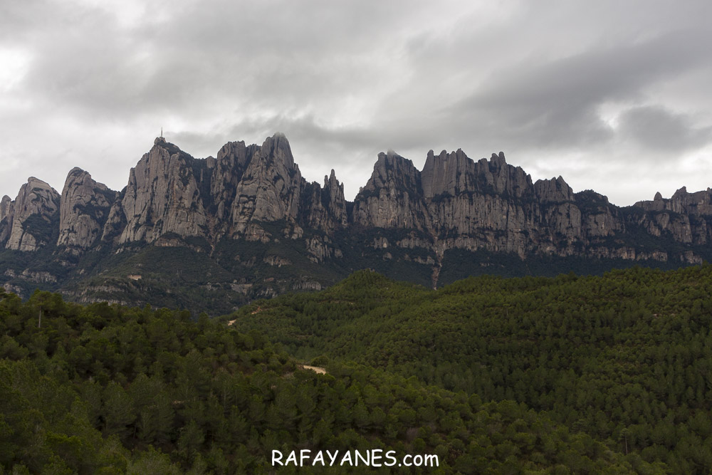 Ruta: Turó de l’Ermità ( 595 m.) (Els 100 Cims)