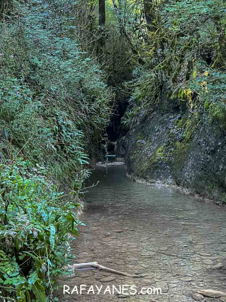 Ruta: Pont Cabradís (Pont Quebradís) Ruta: Pont Cabradís (Pont Quebradís)
