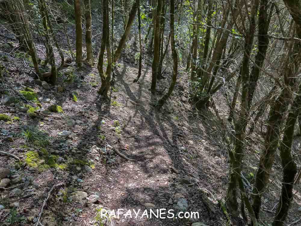 Ruta: Pont Cabradís (Pont Quebradís) Ruta: Pont Cabradís (Pont Quebradís)