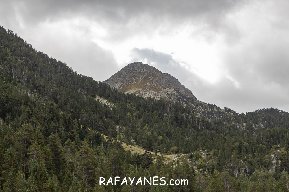Ruta: Tuc Gran dera Sendrosa ( 2703 m.) (Els 100 Cims)
