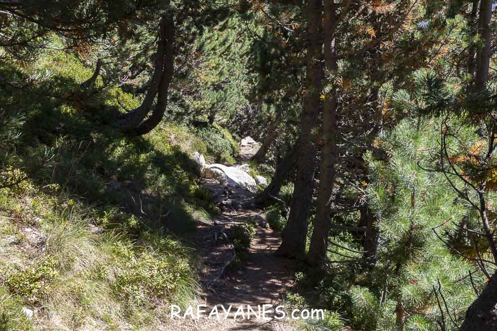 Ruta: Tuc de Ratera ( 2859 m.) (Els 100 Cims) Ruta: Tuc de Ratera ( 2859 m.) (Els 100 Cims)