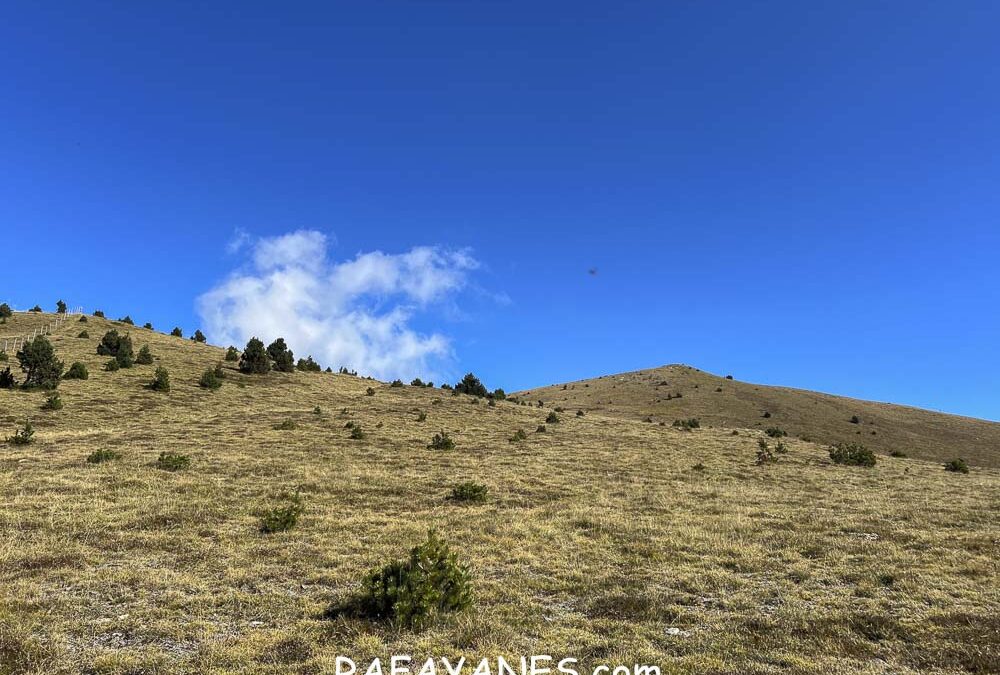 Ruta: Puig Cerverís ( 2208 m.)