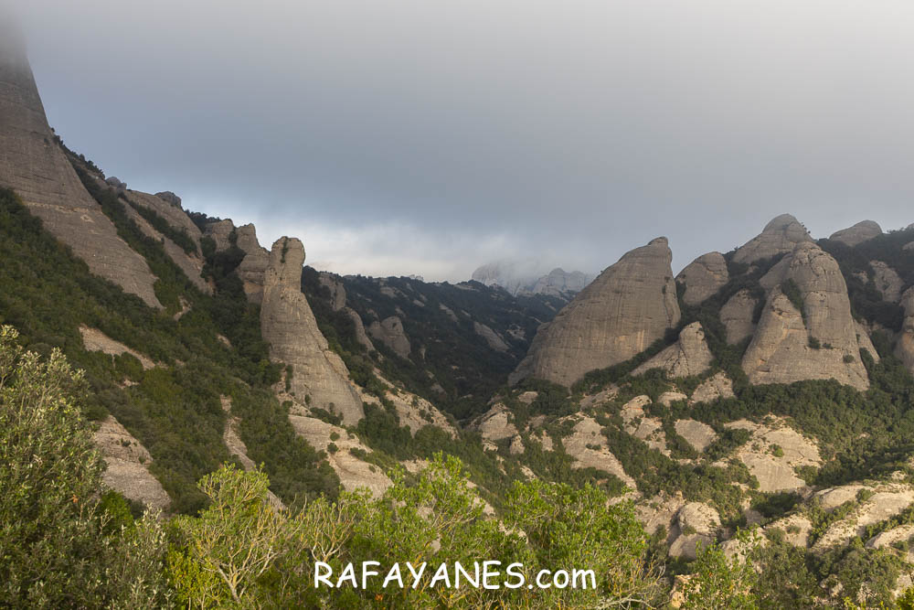 Ruta: L’Albarda Castellana ( 1178 m.) (Els 100 Cims) Ruta: L’Albarda Castellana ( 1178 m.) (Els 100 Cims)