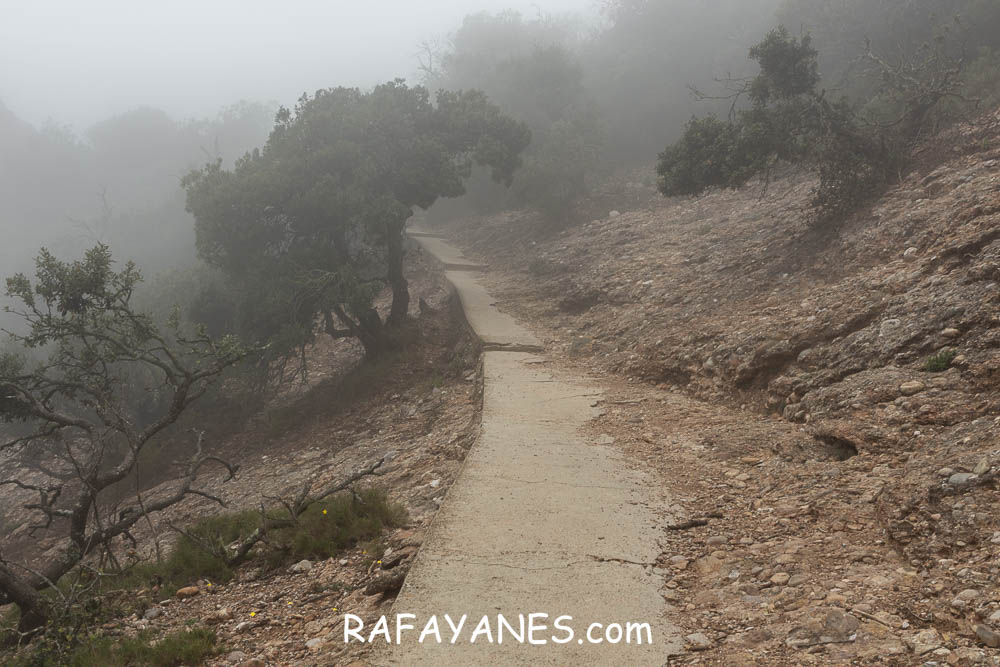 Ruta: L’Albarda Castellana ( 1178 m.) (Els 100 Cims) Ruta: L’Albarda Castellana ( 1178 m.) (Els 100 Cims)