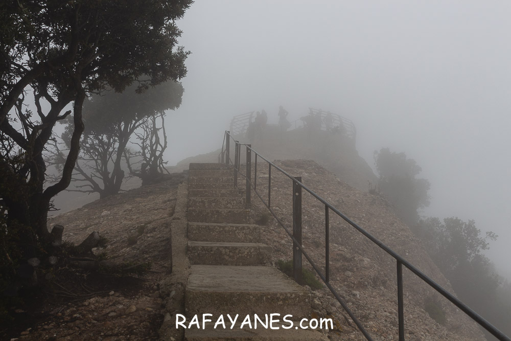 Ruta: L’Albarda Castellana ( 1178 m.) (Els 100 Cims) Ruta: L’Albarda Castellana ( 1178 m.) (Els 100 Cims)