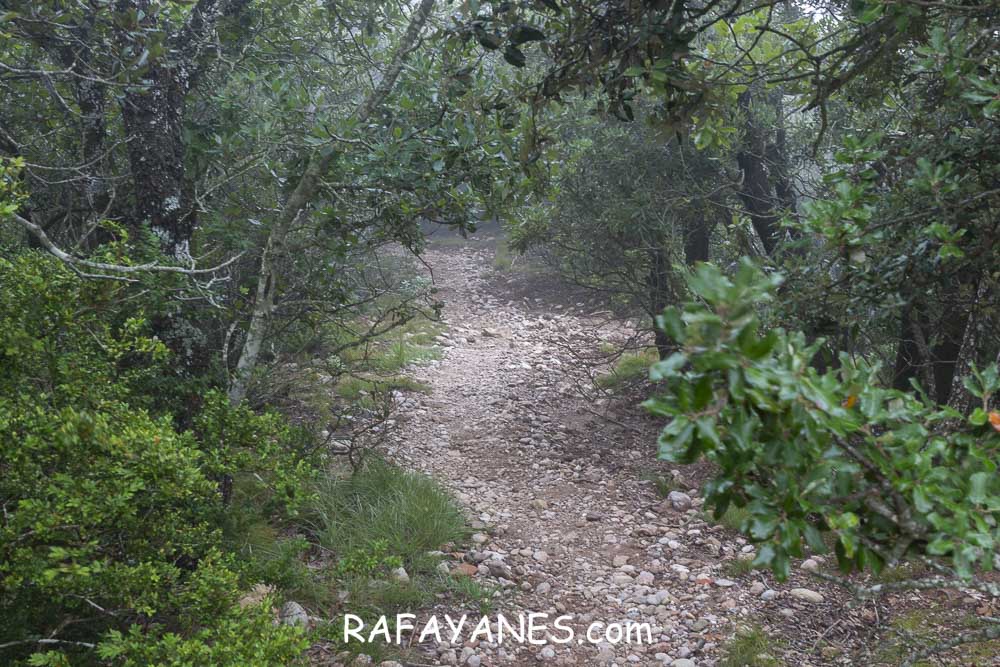 Ruta: L’Albarda Castellana ( 1178 m.) (Els 100 Cims) Ruta: L’Albarda Castellana ( 1178 m.) (Els 100 Cims)
