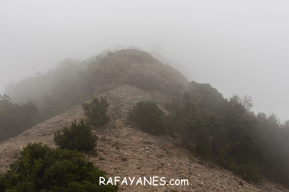 Ruta: L’Albarda Castellana ( 1178 m.) (Els 100 Cims) Ruta: L’Albarda Castellana ( 1178 m.) (Els 100 Cims)