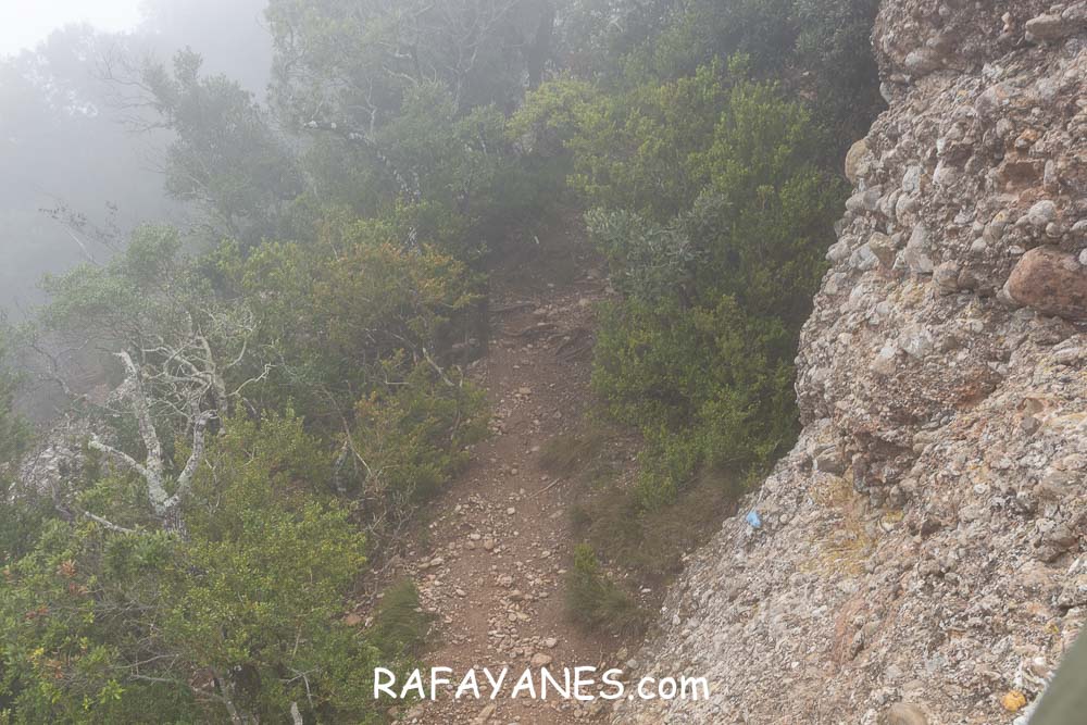 Ruta: L’Albarda Castellana ( 1178 m.) (Els 100 Cims) Ruta: L’Albarda Castellana ( 1178 m.) (Els 100 Cims)