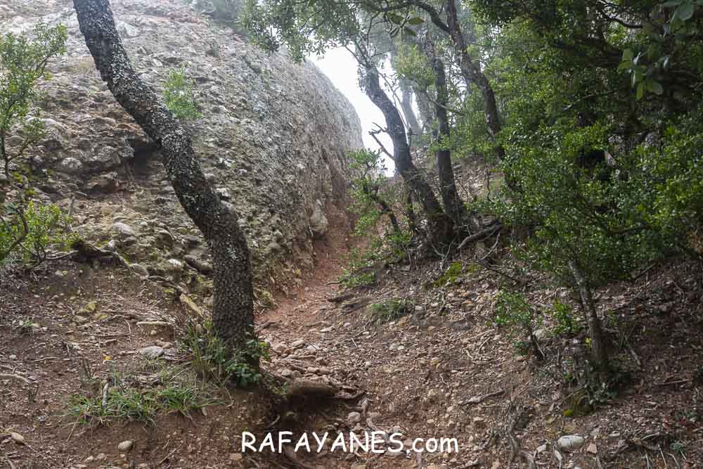 Ruta: L’Albarda Castellana ( 1178 m.) (Els 100 Cims) Ruta: L’Albarda Castellana ( 1178 m.) (Els 100 Cims)