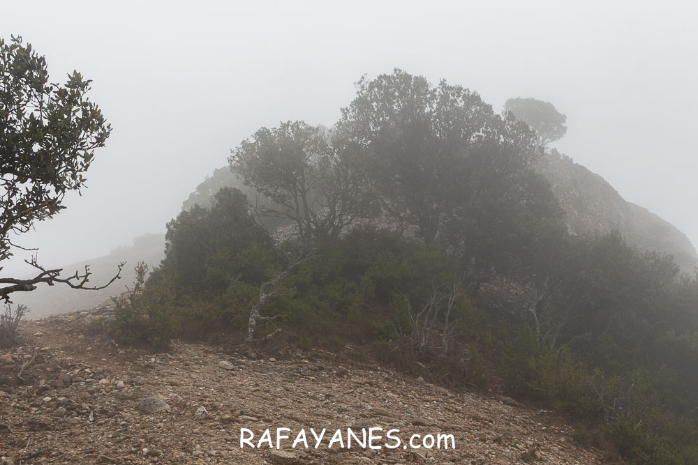 Ruta: L’Albarda Castellana ( 1178 m.) (Els 100 Cims) Ruta: L’Albarda Castellana ( 1178 m.) (Els 100 Cims)