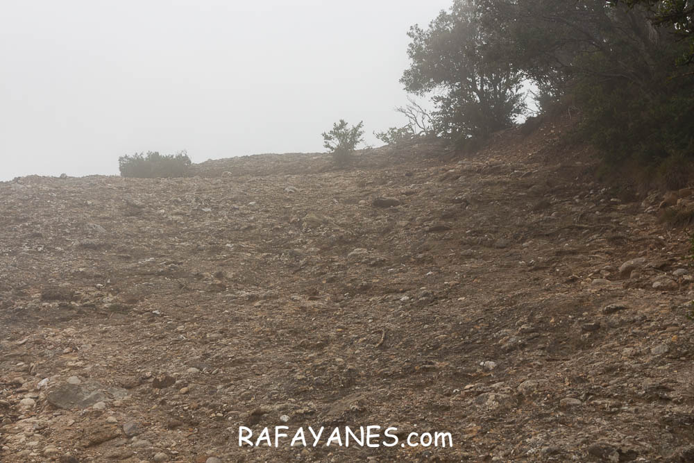 Ruta: L’Albarda Castellana ( 1178 m.) (Els 100 Cims) Ruta: L’Albarda Castellana ( 1178 m.) (Els 100 Cims)