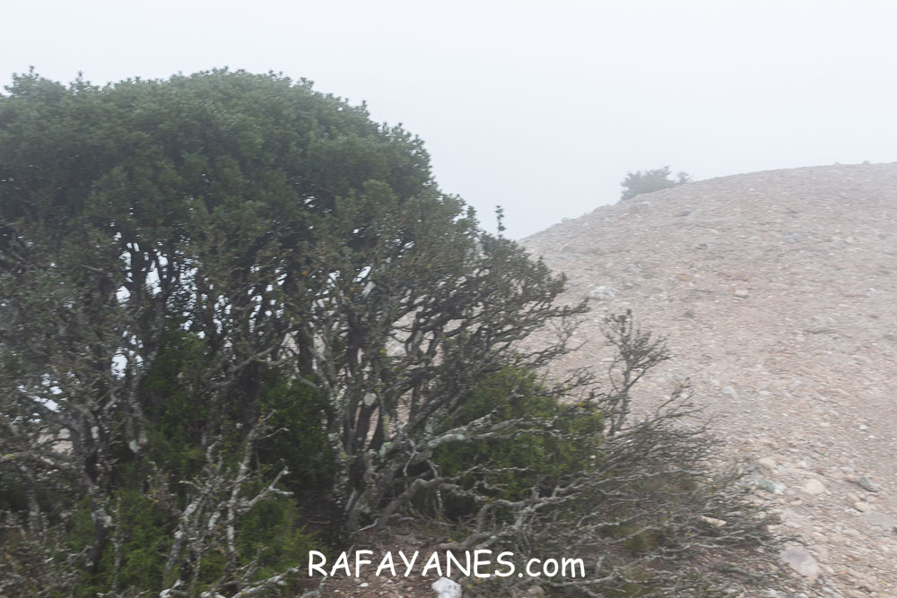 Ruta: L’Albarda Castellana ( 1178 m.) (Els 100 Cims) Ruta: L’Albarda Castellana ( 1178 m.) (Els 100 Cims)