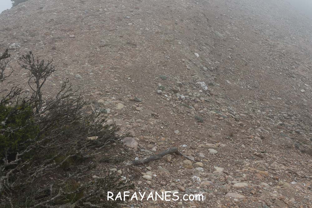 Ruta: L’Albarda Castellana ( 1178 m.) (Els 100 Cims) Ruta: L’Albarda Castellana ( 1178 m.) (Els 100 Cims)