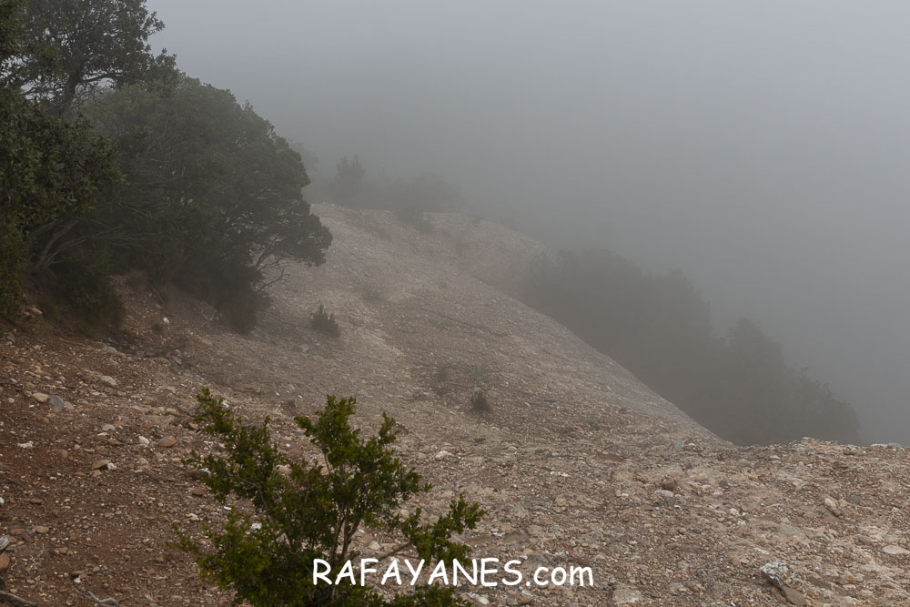 Ruta: L’Albarda Castellana ( 1178 m.) (Els 100 Cims) Ruta: L’Albarda Castellana ( 1178 m.) (Els 100 Cims)