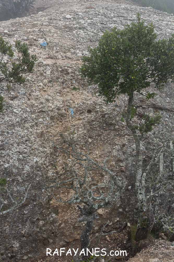 Ruta: L’Albarda Castellana ( 1178 m.) (Els 100 Cims) Ruta: L’Albarda Castellana ( 1178 m.) (Els 100 Cims)