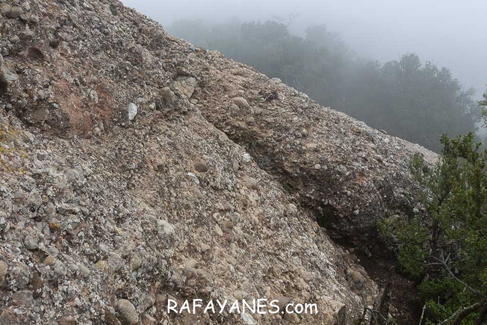 Ruta: L’Albarda Castellana ( 1178 m.) (Els 100 Cims) Ruta: L’Albarda Castellana ( 1178 m.) (Els 100 Cims)