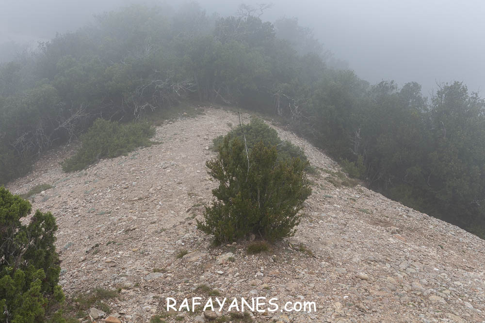 Ruta: L’Albarda Castellana ( 1178 m.) (Els 100 Cims) Ruta: L’Albarda Castellana ( 1178 m.) (Els 100 Cims)