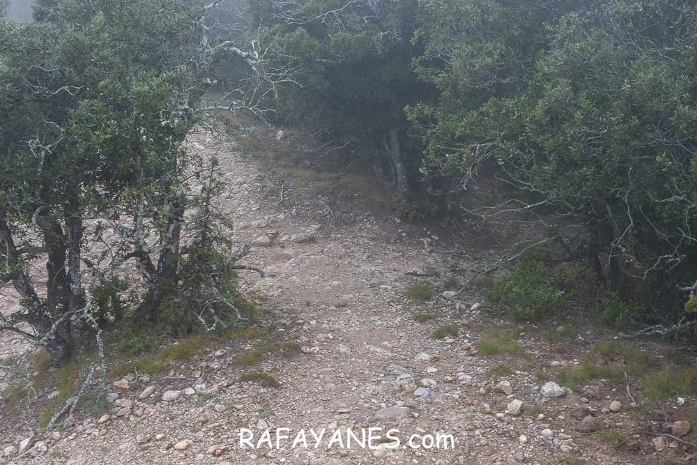 Ruta: L’Albarda Castellana ( 1178 m.) (Els 100 Cims) Ruta: L’Albarda Castellana ( 1178 m.) (Els 100 Cims)
