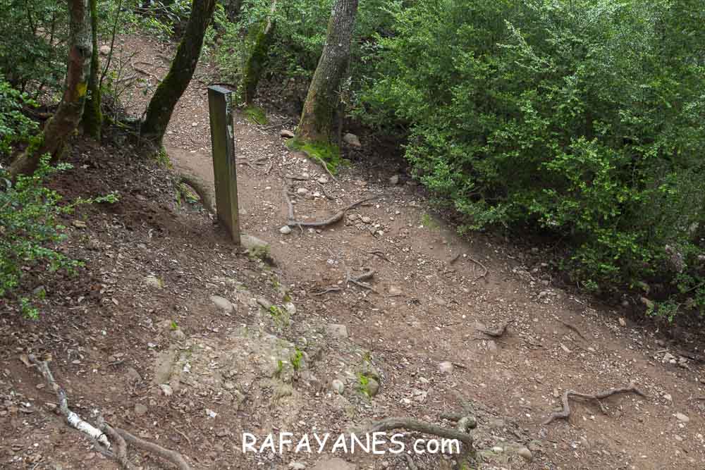 Ruta: L’Albarda Castellana ( 1178 m.) (Els 100 Cims) Ruta: L’Albarda Castellana ( 1178 m.) (Els 100 Cims)