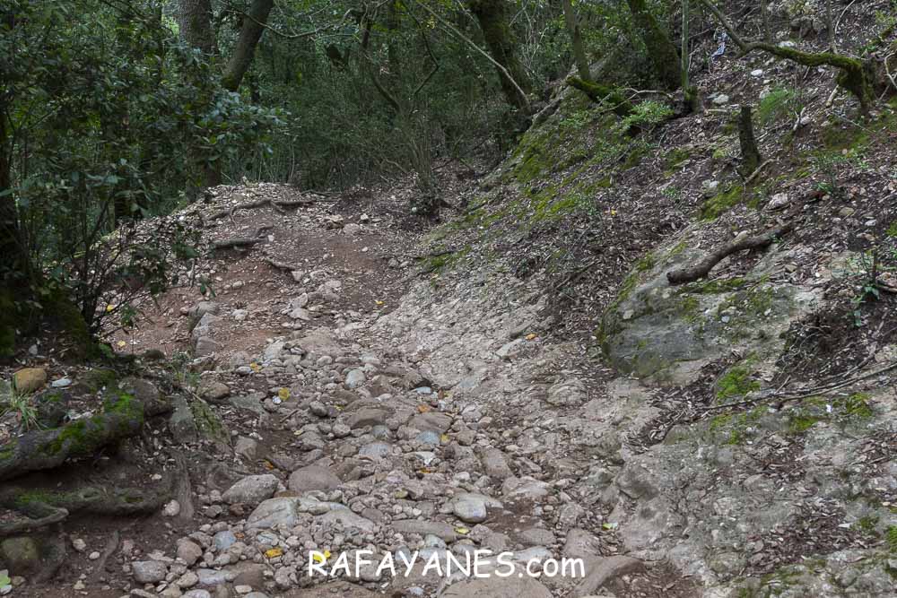Ruta: L’Albarda Castellana ( 1178 m.) (Els 100 Cims) Ruta: L’Albarda Castellana ( 1178 m.) (Els 100 Cims)