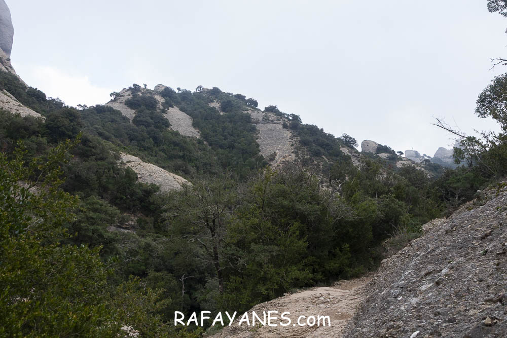 Ruta: L’Albarda Castellana ( 1178 m.) (Els 100 Cims) Ruta: L’Albarda Castellana ( 1178 m.) (Els 100 Cims)
