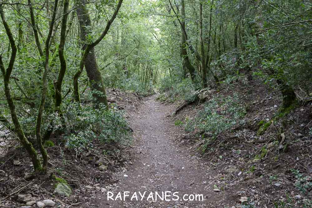 Ruta: L’Albarda Castellana ( 1178 m.) (Els 100 Cims) Ruta: L’Albarda Castellana ( 1178 m.) (Els 100 Cims)