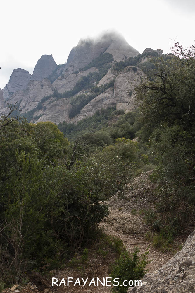 Ruta: L’Albarda Castellana ( 1178 m.) (Els 100 Cims) Ruta: L’Albarda Castellana ( 1178 m.) (Els 100 Cims)