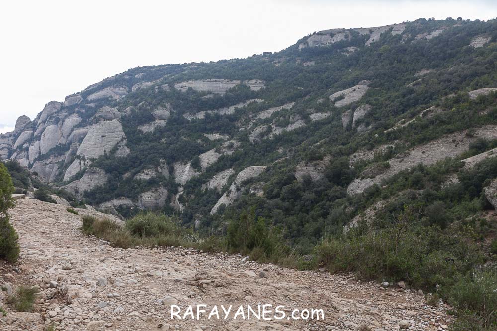 Ruta: L’Albarda Castellana ( 1178 m.) (Els 100 Cims) Ruta: L’Albarda Castellana ( 1178 m.) (Els 100 Cims)