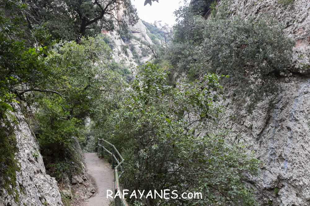 Ruta: L’Albarda Castellana ( 1178 m.) (Els 100 Cims) Ruta: L’Albarda Castellana ( 1178 m.) (Els 100 Cims)