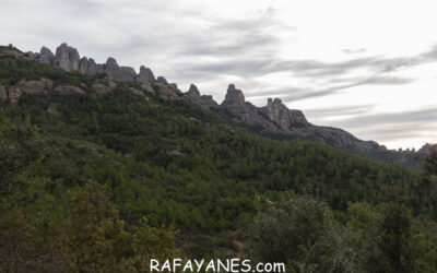 Ruta: Miranda del Princep ( 993 m.) (Els 100 Cims)