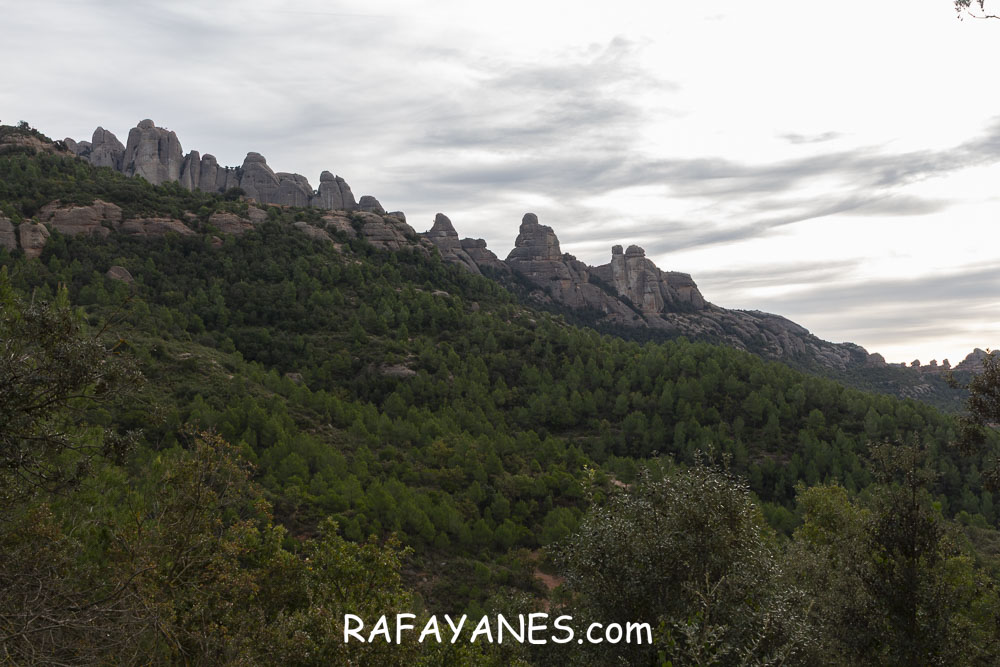 Ruta: Miranda del Princep ( 993 m.) (Els 100 Cims)