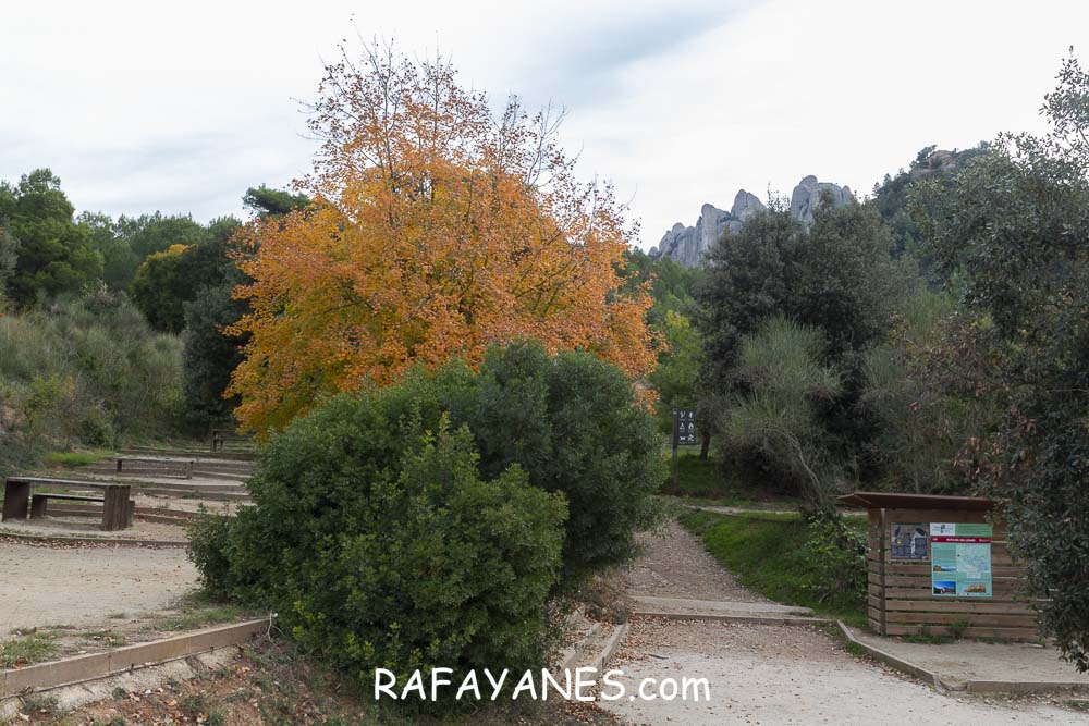 Ruta: Miranda del Princep ( 993 m.) (Els 100 Cims) Ruta: Miranda del Princep ( 993 m.) (Els 100 Cims)