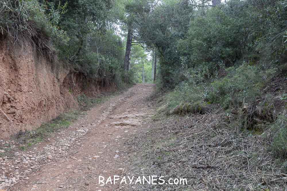 Ruta: Miranda del Princep ( 993 m.) (Els 100 Cims) Ruta: Miranda del Princep ( 993 m.) (Els 100 Cims)