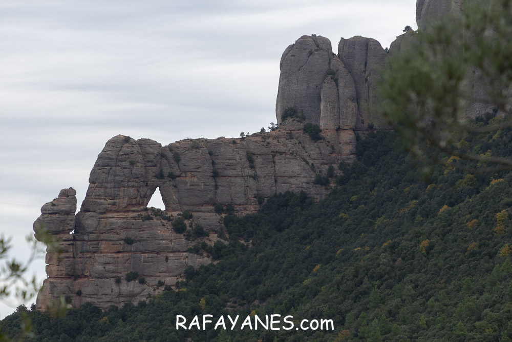 Ruta: Miranda del Princep ( 993 m.) (Els 100 Cims) Ruta: Miranda del Princep ( 993 m.) (Els 100 Cims)