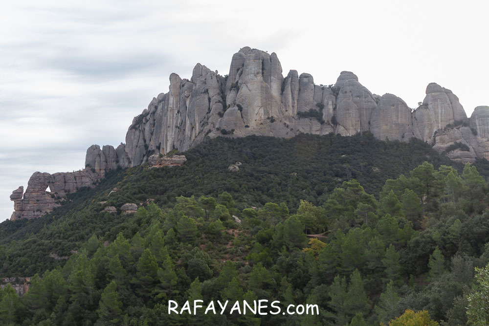 Ruta: Miranda del Princep ( 993 m.) (Els 100 Cims) Ruta: Miranda del Princep ( 993 m.) (Els 100 Cims)