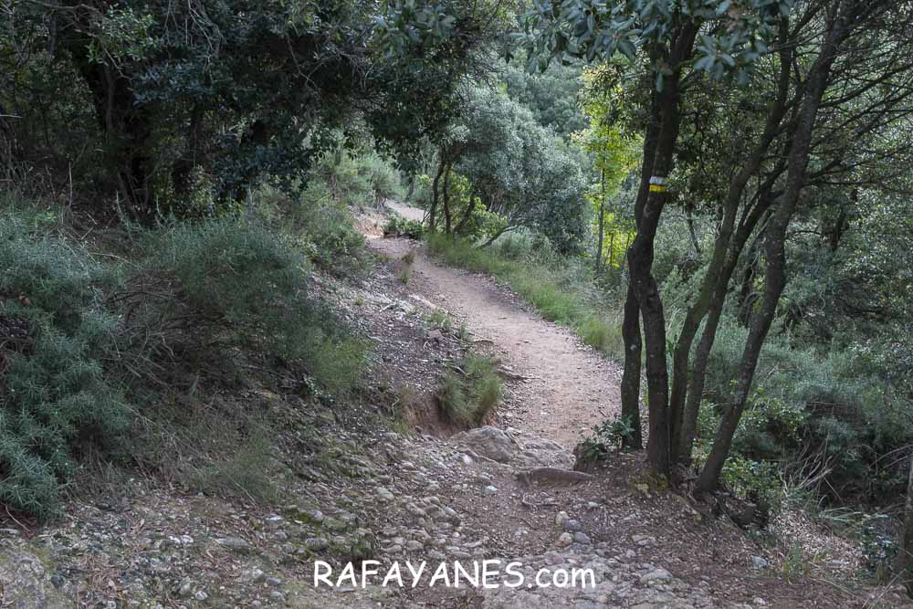 Ruta: Miranda del Princep ( 993 m.) (Els 100 Cims) Ruta: Miranda del Princep ( 993 m.) (Els 100 Cims)