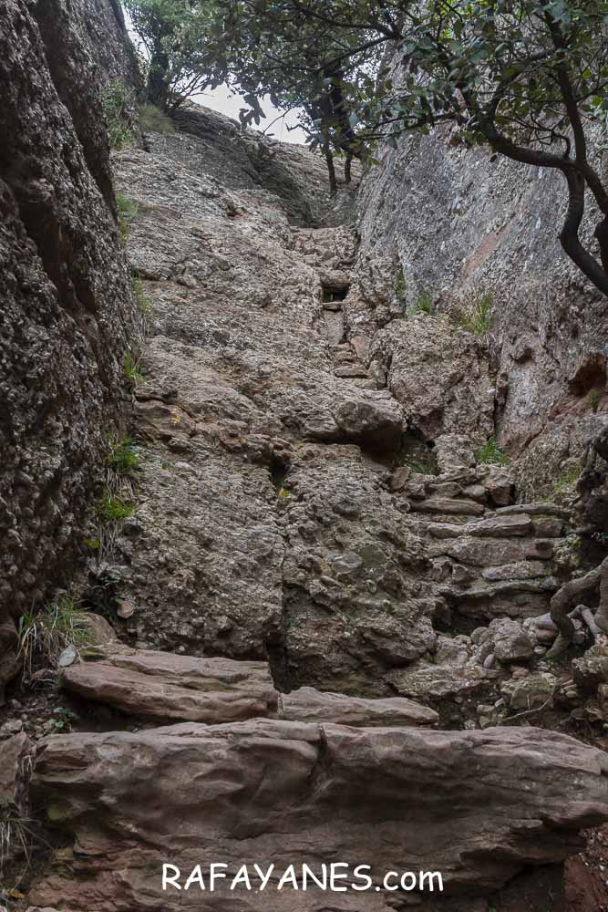 Ruta: Miranda del Princep ( 993 m.) (Els 100 Cims) Ruta: Miranda del Princep ( 993 m.) (Els 100 Cims)