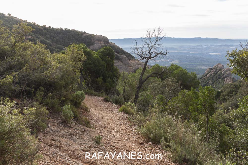Ruta: Miranda del Princep ( 993 m.) (Els 100 Cims) Ruta: Miranda del Princep ( 993 m.) (Els 100 Cims)