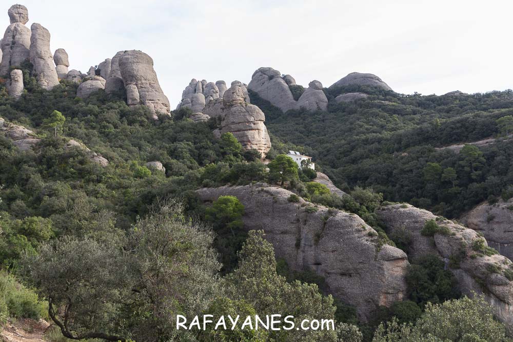 Ruta: Miranda del Princep ( 993 m.) (Els 100 Cims) Ruta: Miranda del Princep ( 993 m.) (Els 100 Cims)