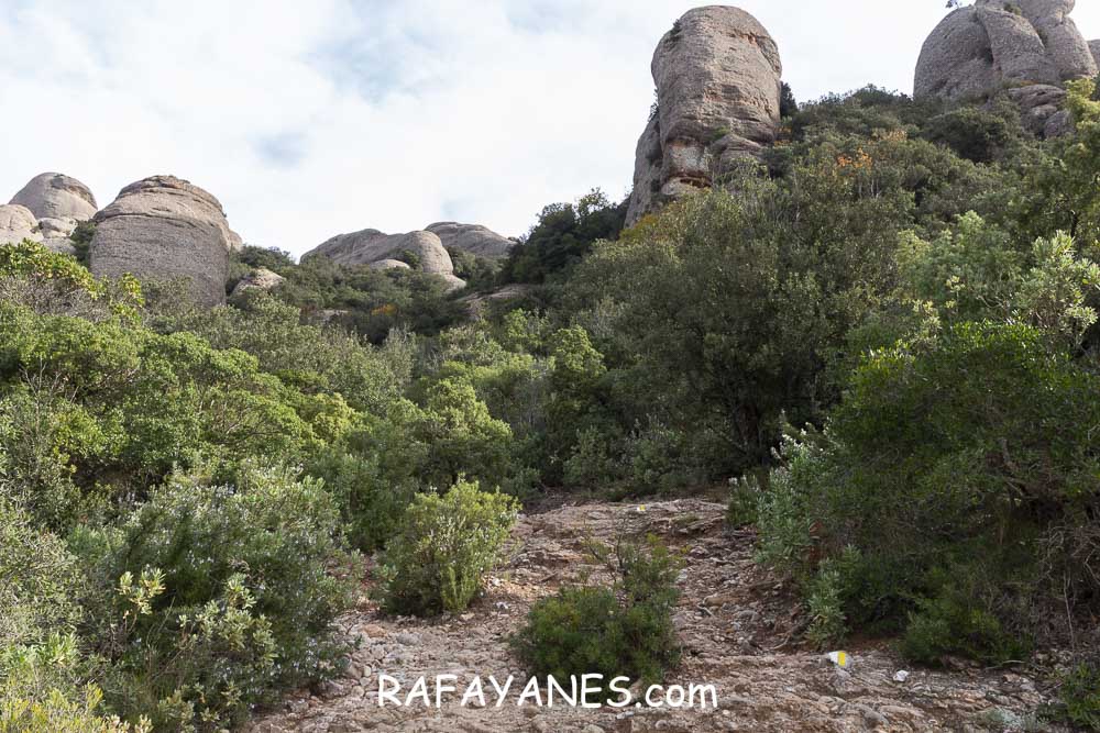 Ruta: Miranda del Princep ( 993 m.) (Els 100 Cims) Ruta: Miranda del Princep ( 993 m.) (Els 100 Cims)