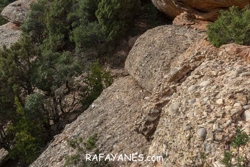 Ruta: Miranda del Princep ( 993 m.) (Els 100 Cims) Ruta: Miranda del Princep ( 993 m.) (Els 100 Cims)