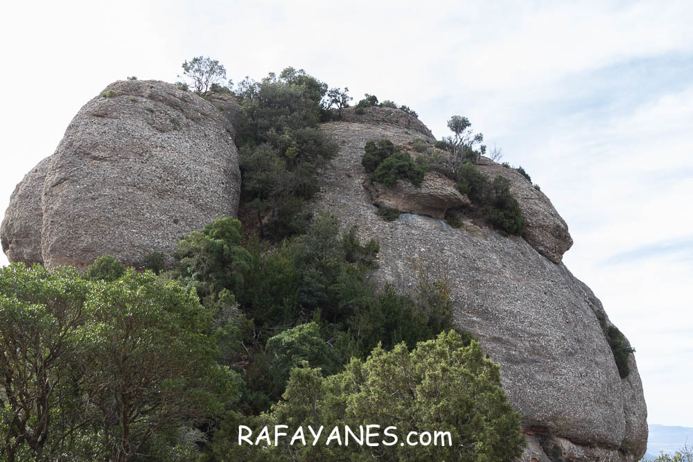 Ruta: Miranda del Princep ( 993 m.) (Els 100 Cims) Ruta: Miranda del Princep ( 993 m.) (Els 100 Cims)