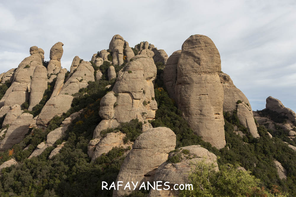 Ruta: Miranda del Princep ( 993 m.) (Els 100 Cims) Ruta: Miranda del Princep ( 993 m.) (Els 100 Cims)