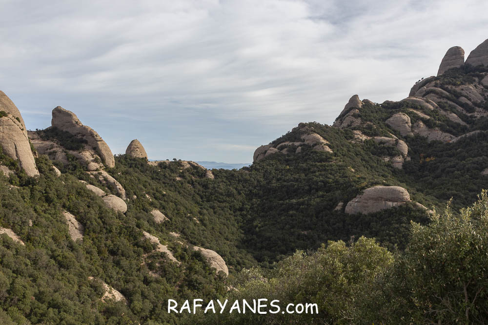 Ruta: Miranda del Princep ( 993 m.) (Els 100 Cims) Ruta: Miranda del Princep ( 993 m.) (Els 100 Cims)