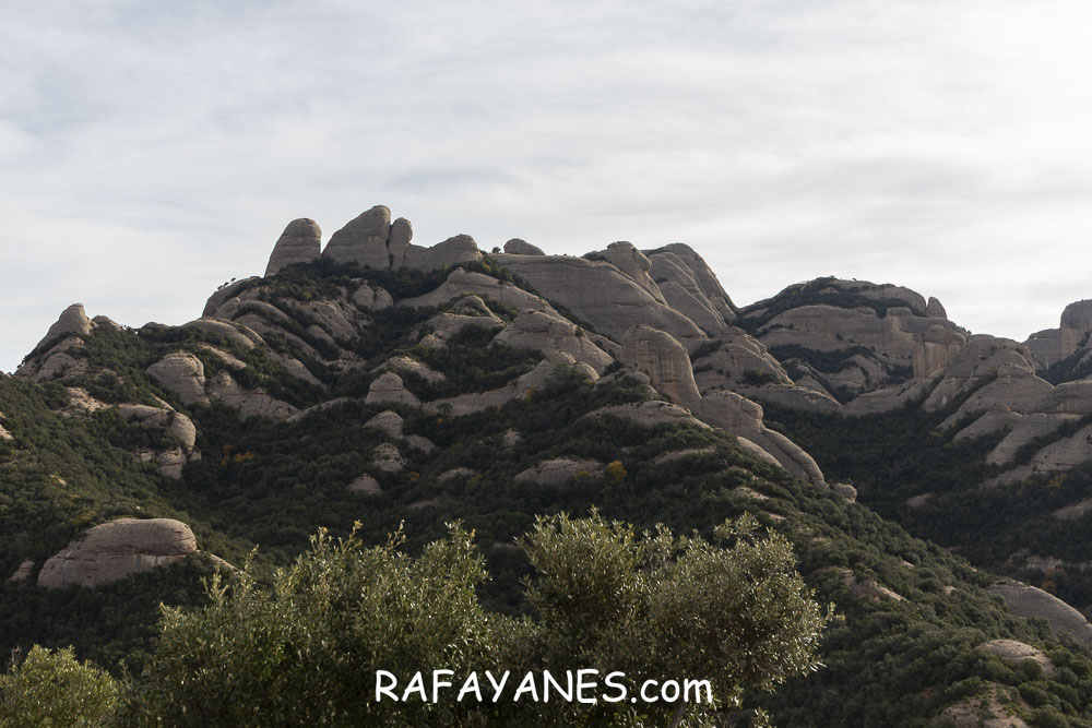 Ruta: Miranda del Princep ( 993 m.) (Els 100 Cims) Ruta: Miranda del Princep ( 993 m.) (Els 100 Cims)