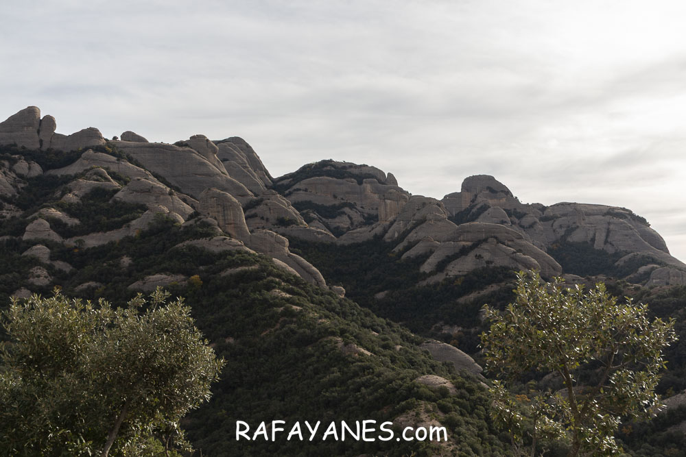 Ruta: Miranda del Princep ( 993 m.) (Els 100 Cims) Ruta: Miranda del Princep ( 993 m.) (Els 100 Cims)