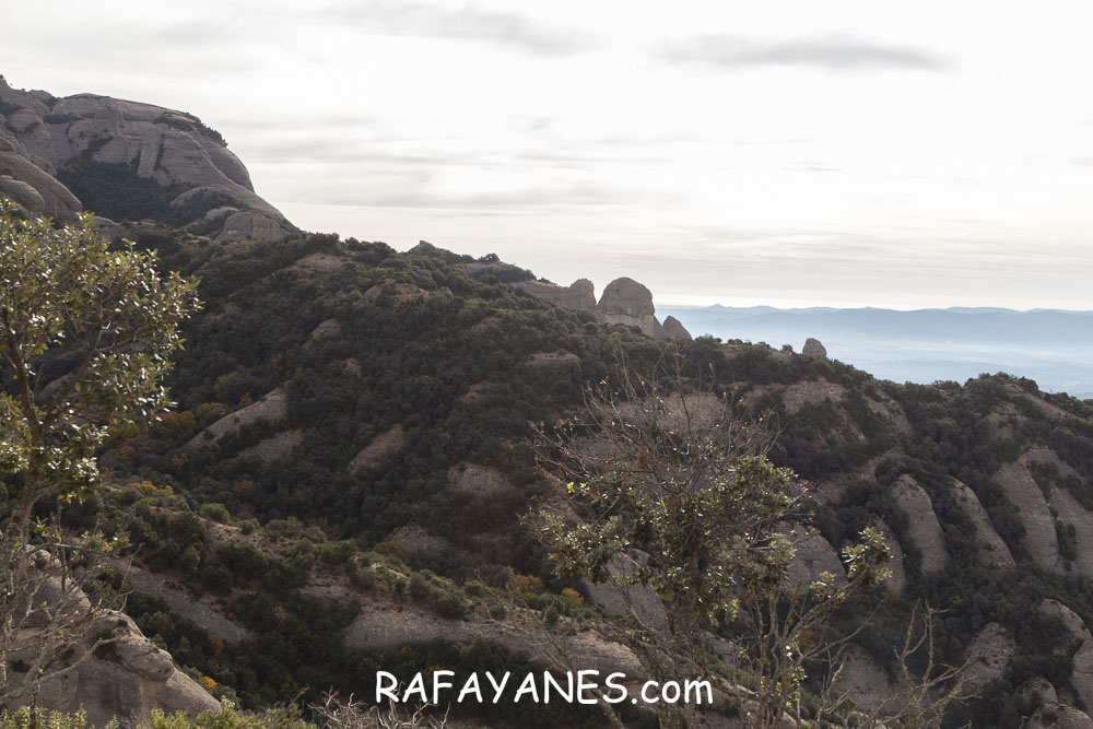 Ruta: Miranda del Princep ( 993 m.) (Els 100 Cims) Ruta: Miranda del Princep ( 993 m.) (Els 100 Cims)